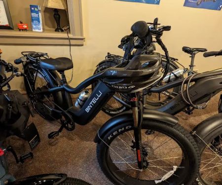 E-Bike Guys of PA