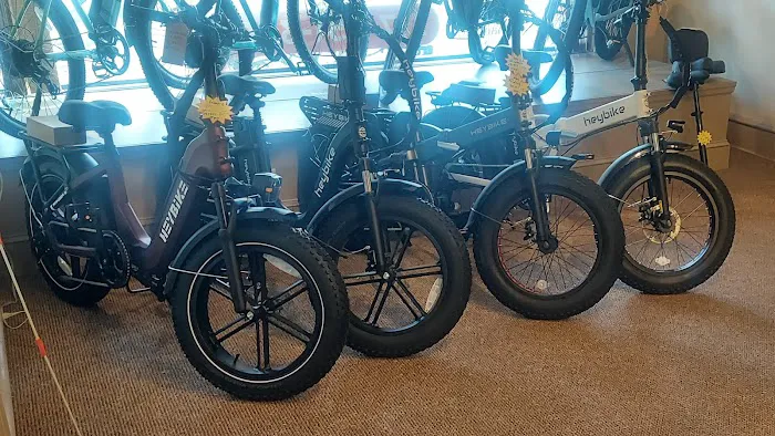 E-Bike Guys of PA Picture 7