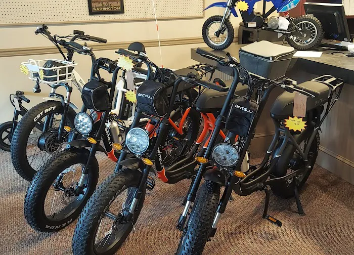 E-Bike Guys of PA Picture 5