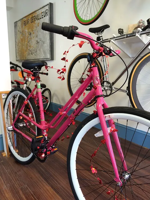 BAREBONES BICYCLE & FITNESS Picture 4
