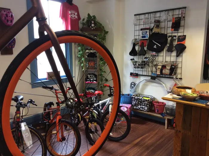 BAREBONES BICYCLE & FITNESS Picture 6