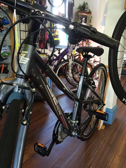 BAREBONES BICYCLE & FITNESS Picture 9