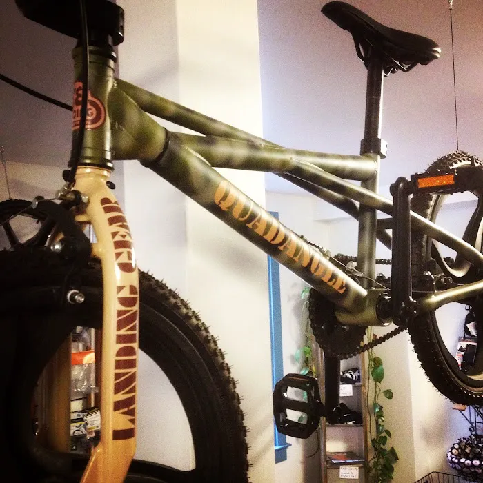 BAREBONES BICYCLE & FITNESS Picture 10