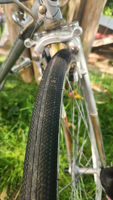 Bike Line Picture 7