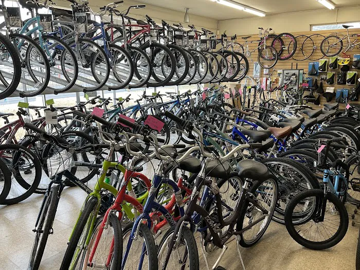 Mojo Bicycle Shop Picture 4