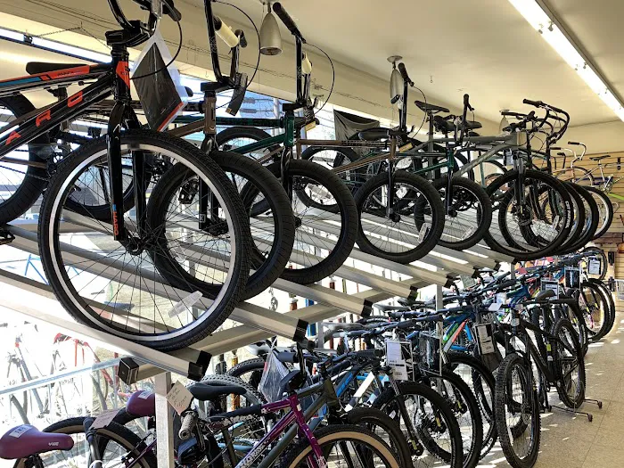 Mojo Bicycle Shop Picture 7
