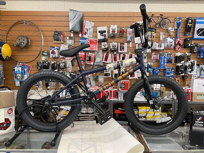 Mojo Bicycle Shop Picture 6