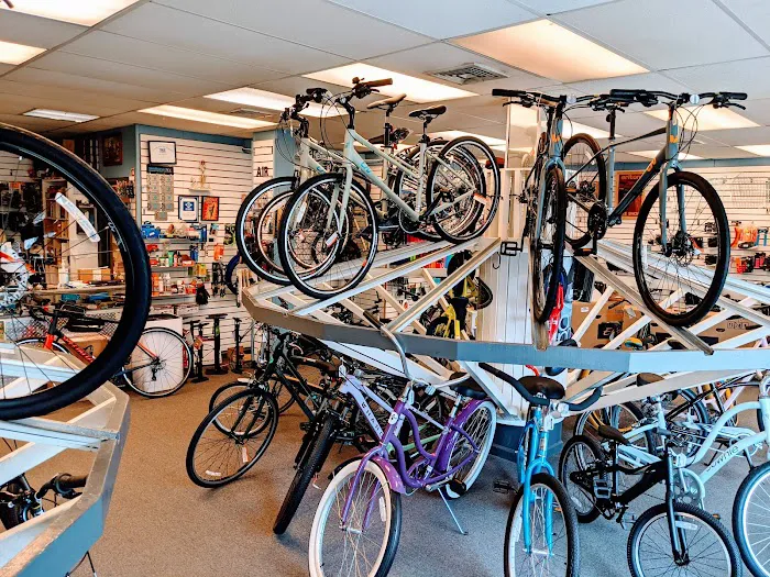 Erlton Bicycle Shop Picture 1
