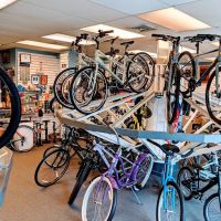 Erlton Bicycle Shop ico