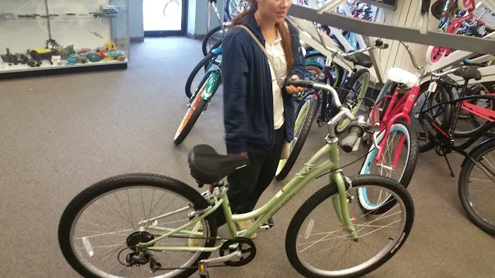 Erlton Bicycle Shop Picture 4