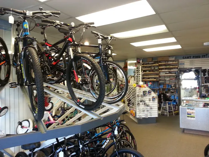 Erlton Bicycle Shop Picture 8