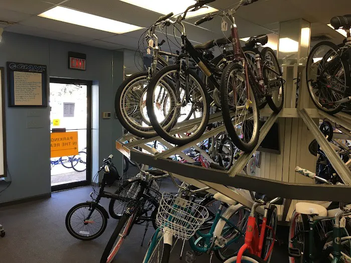 Erlton Bicycle Shop Picture 7