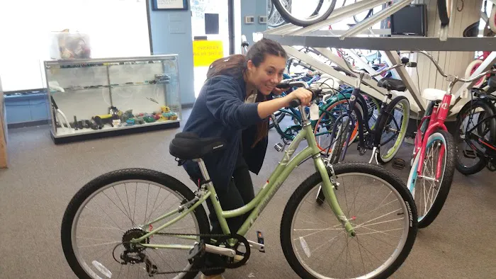 Erlton Bicycle Shop Picture 6