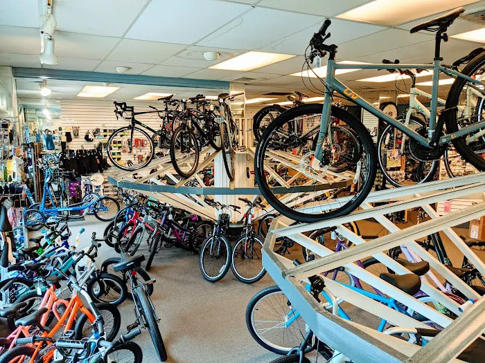 Erlton Bicycle Shop Picture 5