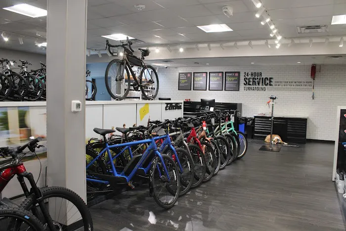 Trek Bicycle Cherry Hill Picture 4