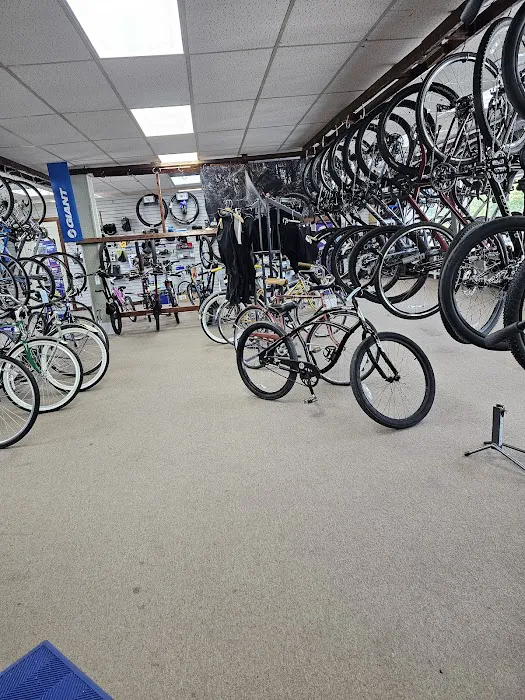 Spokes Bike Shop Picture 2