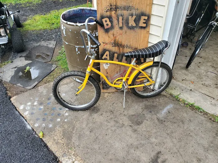 bike alley Picture 3
