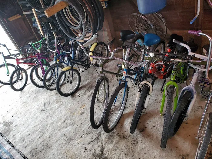 bike alley Picture 1