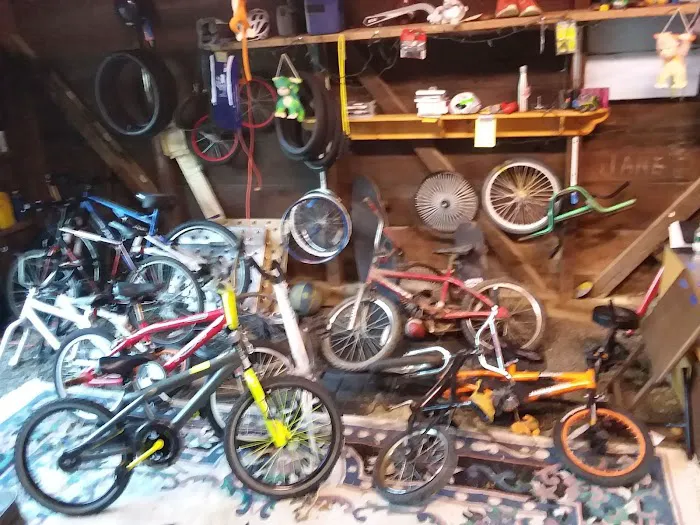 bike alley Picture 2