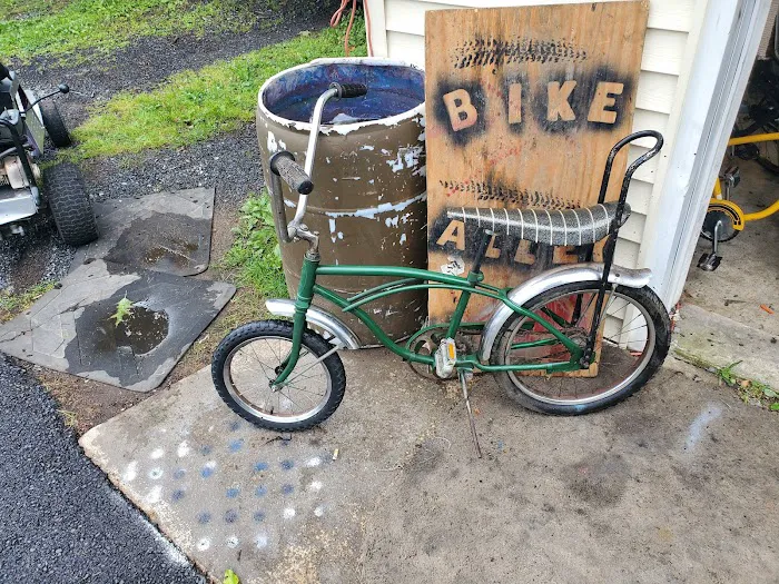 bike alley Picture 4