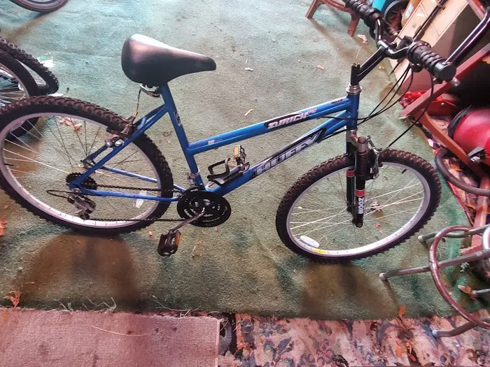 bike alley Picture 5