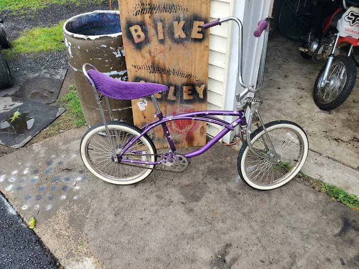 bike alley Picture 6