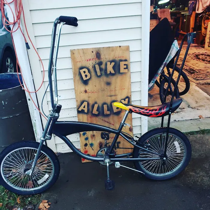 bike alley Picture 8