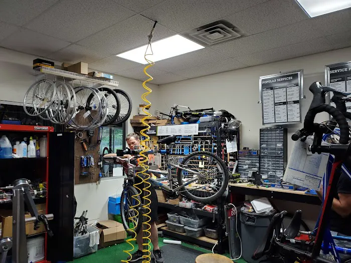 Crown Bicycles Picture 4