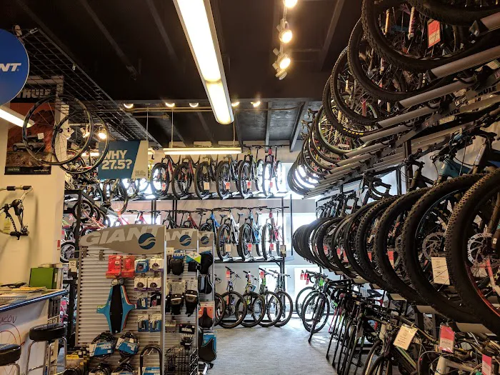 Saucon Valley Bikes Picture 7