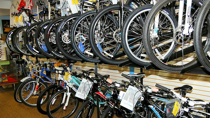 Bike King Cycling Picture 3