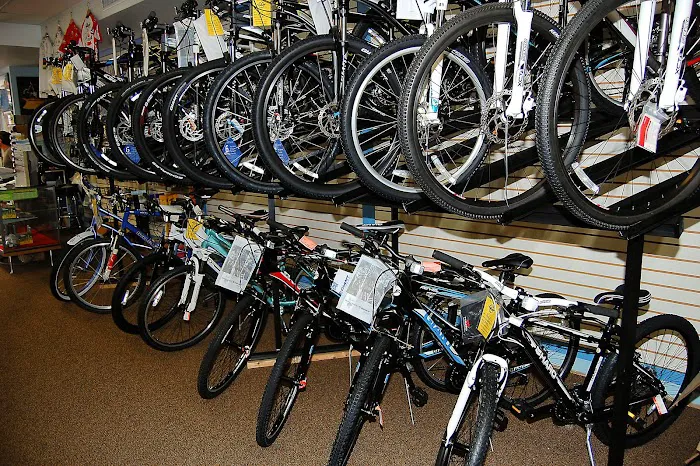 Bike King Cycling Picture 4