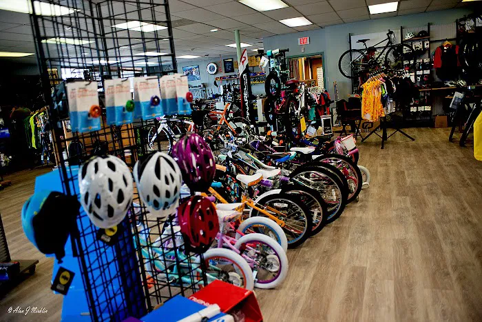 Bike King Cycling Picture 8