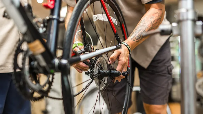 Hart's Cyclery & Fitness Picture 3