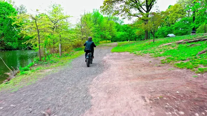 eBikes Online Picture 9
