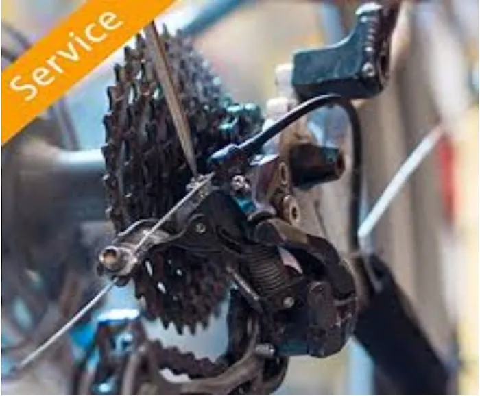 Sourland Cycles Picture 3