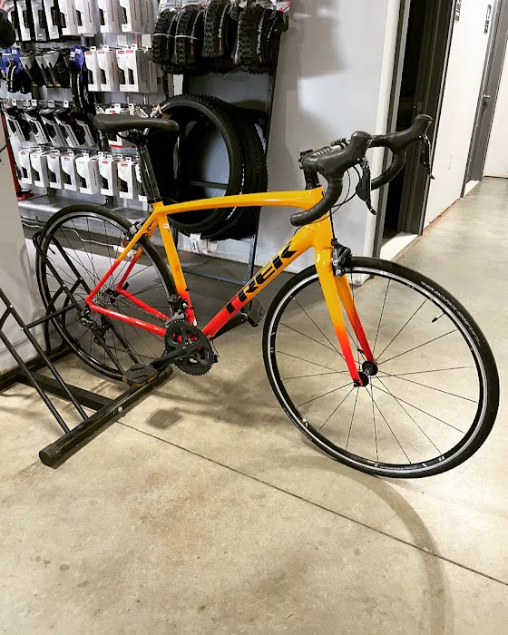 V5 Cycles Picture 4