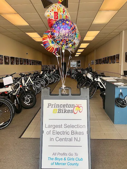 Princeton eBikes Picture 9