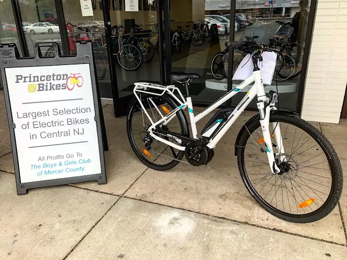 Princeton eBikes Picture 10
