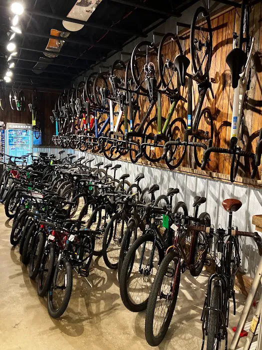 Halter's Cycles Picture 3