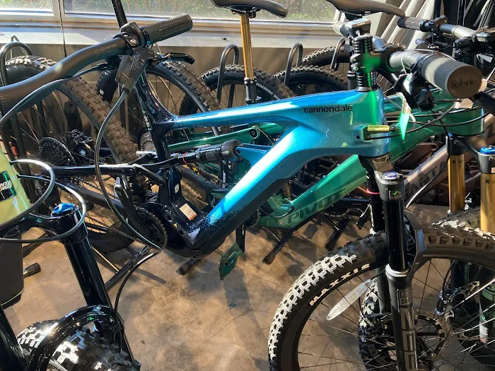 Halter's Cycles Picture 7
