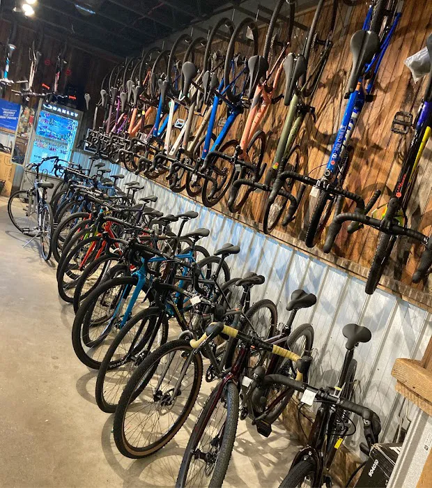 Halter's Cycles Picture 6
