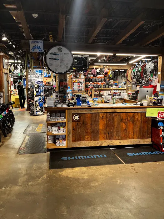 Halter's Cycles Picture 5