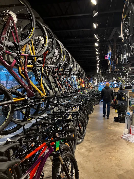 Halter's Cycles Picture 9