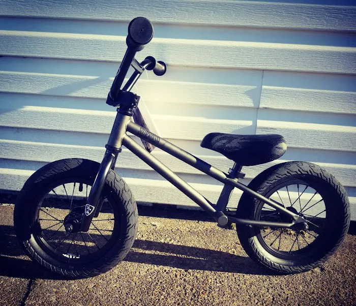 Chip-N-Dale BMX Picture 9