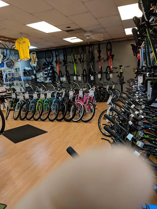 Mount Holly Bicycles Picture 4