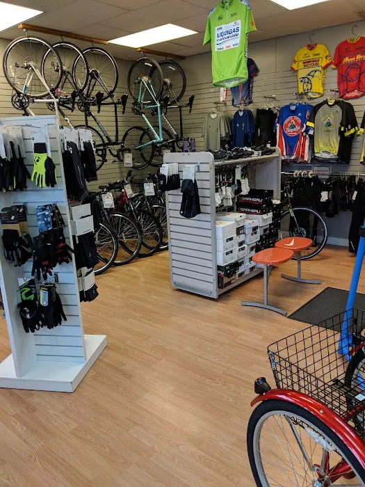 Mount Holly Bicycles Picture 7