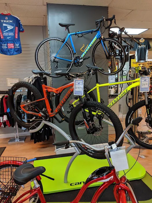 Mount Holly Bicycles Picture 10
