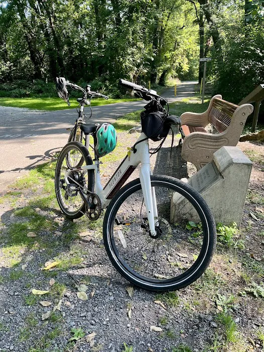 Let's Roll eBikes Picture 9