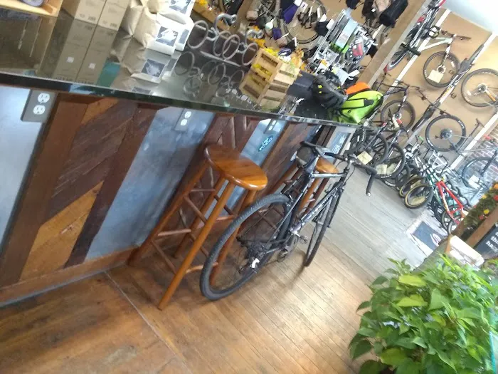 The Cycle Works Picture 4