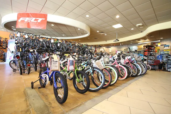 Wheelies Bicycles Sales and Service Picture 3